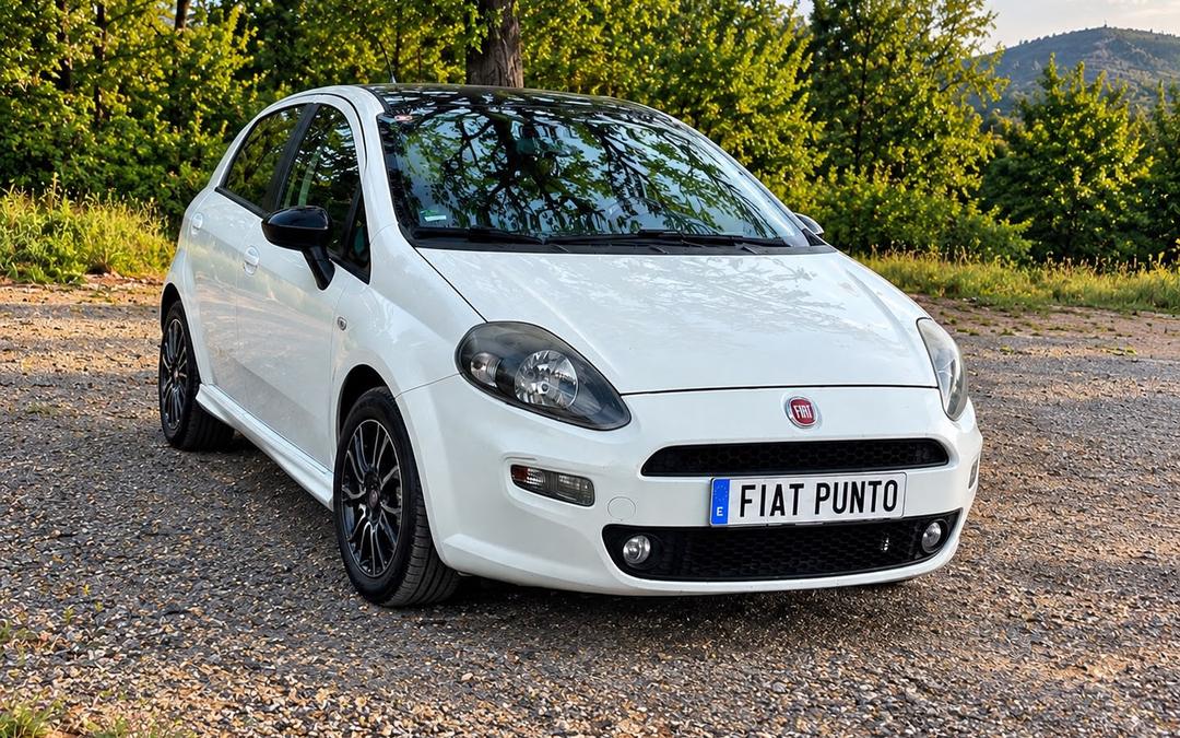 Fiat Punto de MyBuyRents